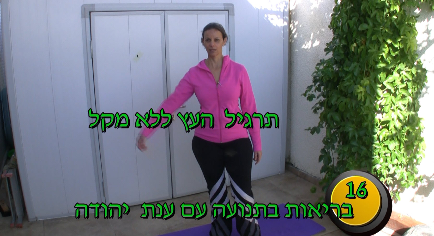 תרגול בריאות בתנועה 16